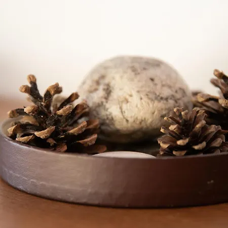 Porthos 37 By Interhome * וורבייה