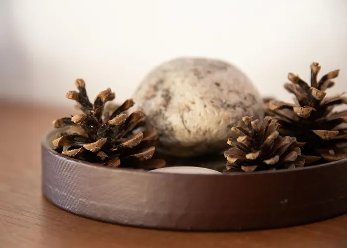 Porthos 37 By Interhome * فيربير